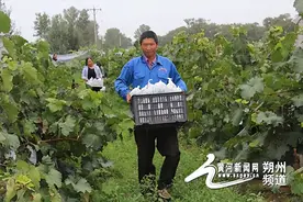 过祥和新年，看美丽山西丨朔州市怀仁市：山区小城展新颜图片