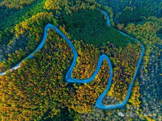 镜瞰秦州·悦秋