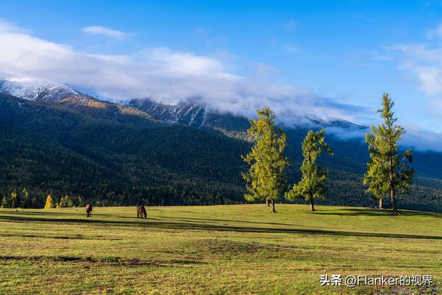 我的阿勒泰之旅(2)