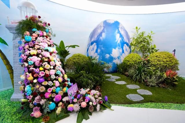 延续进博精彩，北外滩馆邀您一同云端观展