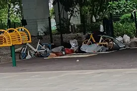 住桥底的都是无家可归的人吗?知道原因后，我沉默了图片