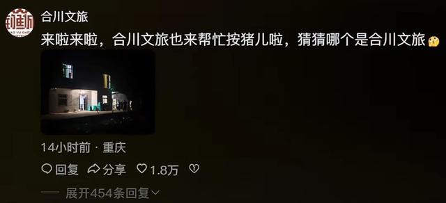 呆呆妹也没想到，杀猪宴收官才1天， 一家人就走上了大衣哥的老路