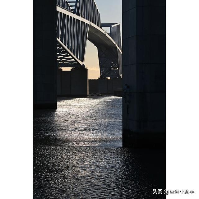 尼康Z卡口超远摄变焦镜头——NIKKOR Z 100-400mm f/4.5-5.6 VR S 评测
