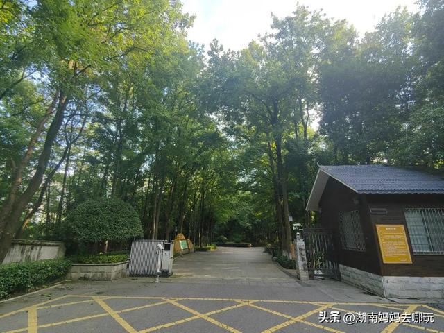 长沙南城遛娃，就爱这条免费清凉路线！