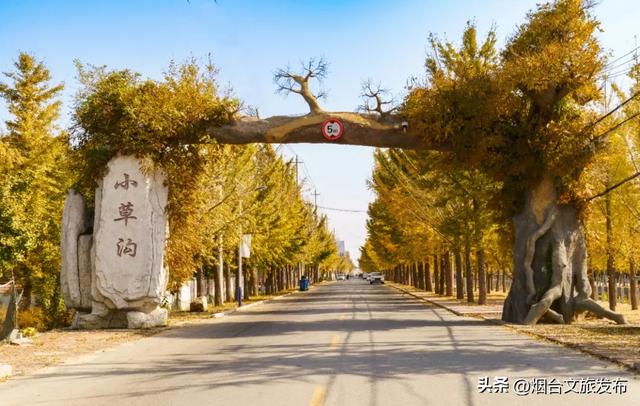 【乐游烟台】十月好去处丨别眨眼！接下来的烟台美到封神