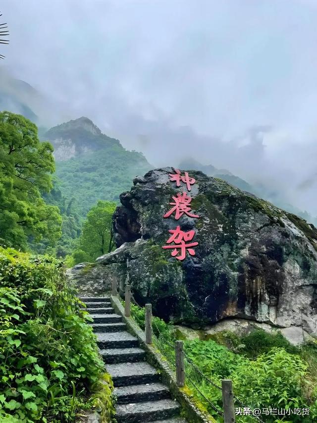 秋天旅游，湖北神农架旅游打卡攻略！