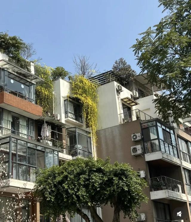 12月后“全面拆迁”要启动？26年起，这4类房子将有望通通拆？