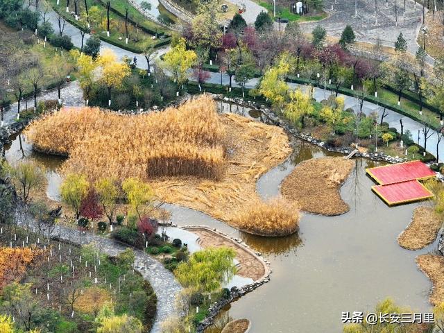 文景公园与文景山公园