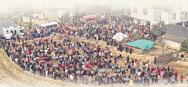 千人杀年猪爆火才几天	，令人恶心的一幕就发生了，网友：吃相难看