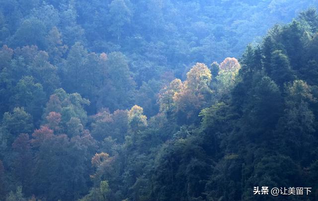 贵州贵阳乌当区的柿子和彩林，体验初冬之韵