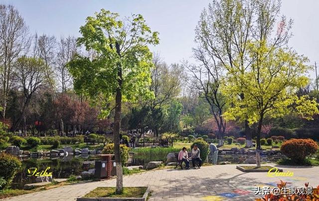 影记 | 春色春景之青州范公亭(上)