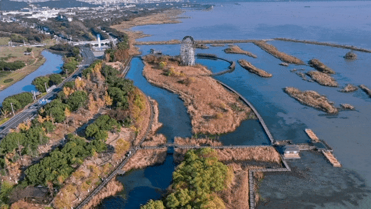 真的很美！2025苏州太湖观鸟超详细攻略来啦！