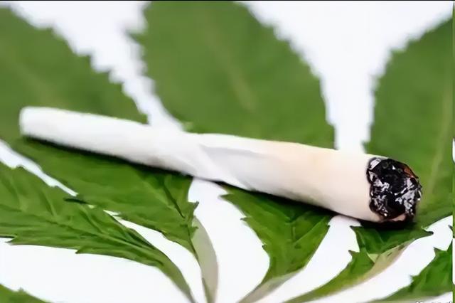 泰国赚钱赚疯了？1600家大麻店合法开张，蜜月地成“瘾君子乐园”