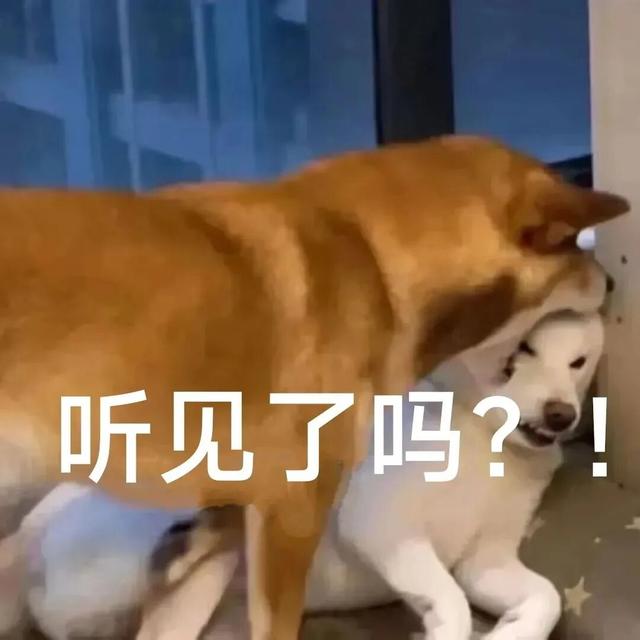红了！成都周边18个顶级赏秋地更新！最快30min刹拢，最佳观赏期已到！速冲！