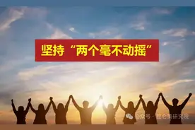 张永杰：“三子”是非公有制经济需要思考的问题图片