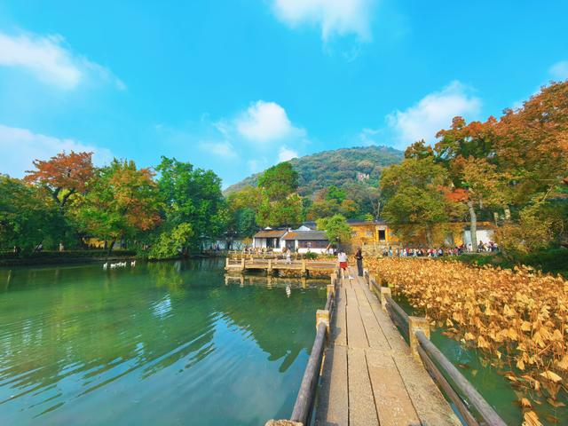 又见天平山：一叶知秋，一枫醉心