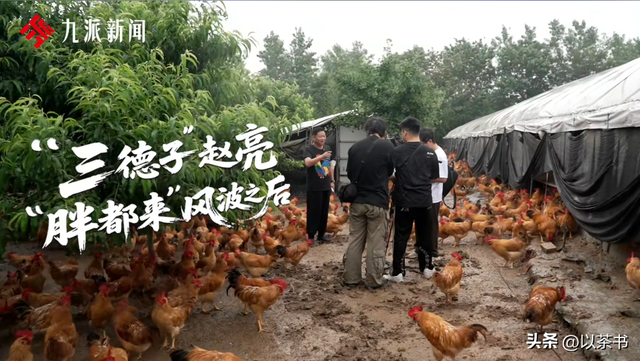 被迫停播、质疑卖假货、土鸡生意惨淡，赵亮也没明白，他得罪了谁