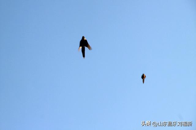 转了一个小圈·及其它