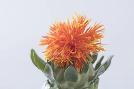 长期不换微信头像的人，往往是三种性格，别小看了图片