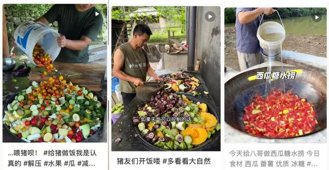 年轻人的 “邪修” 减脂路，吃猫饭狗饭瘦15斤？破解打工人吃饭难