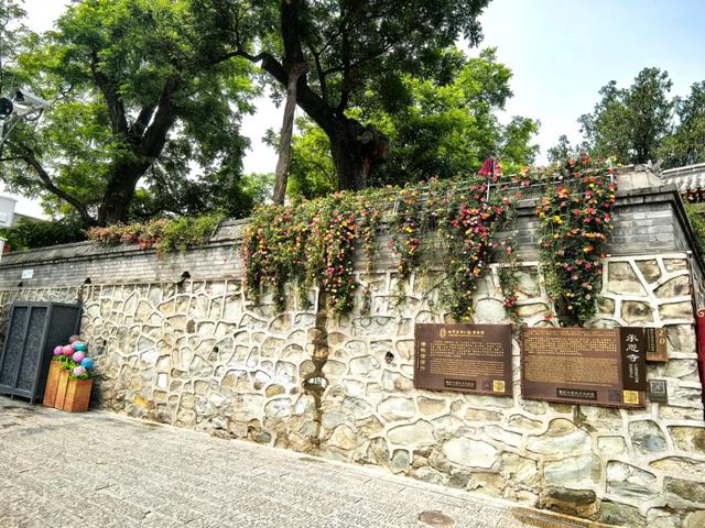 “花漾”漫染千年古道！模式口以繁花织就京西生态人文画卷