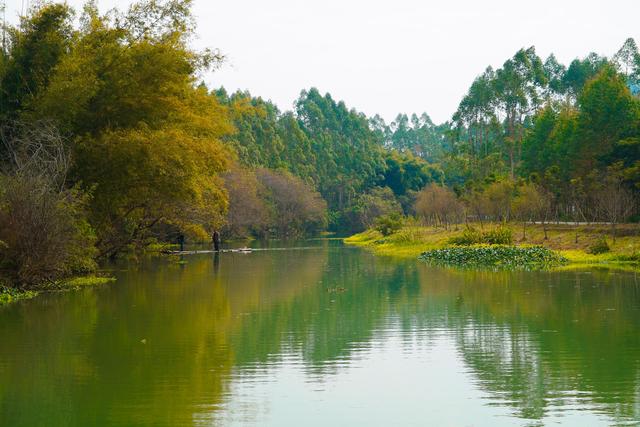 广西横州市历史沿革及行政区划