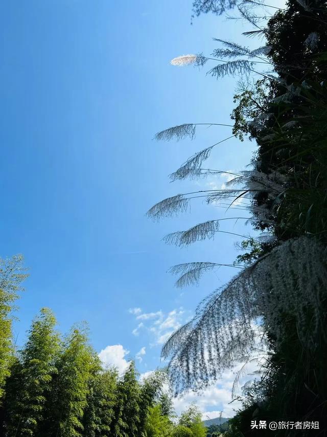 真没想到，在四明山古村深处还隐藏着这样一处水库