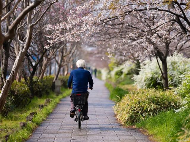 低速四轮车被禁后	，新型接娃方式出现！网友：这下可好，不禁不罚