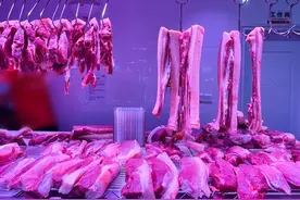 猪肉价格大降超40%是什么原因？现在猪肉价格多少钱一斤？图片