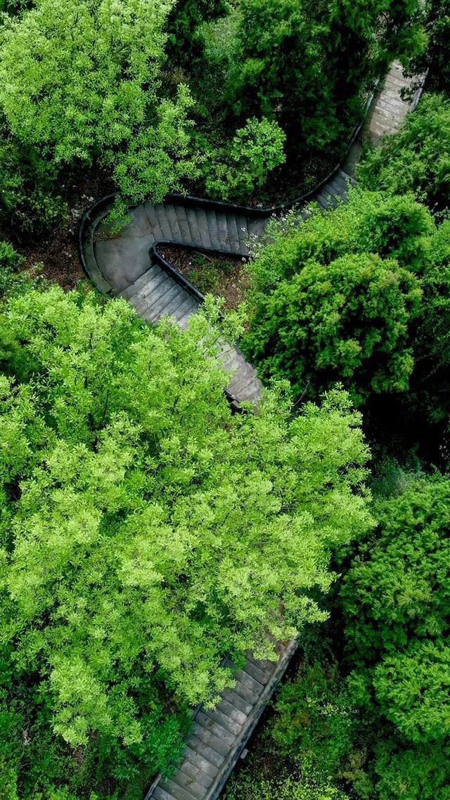 首个秋假怎么耍？这份眉山天府新区遛娃指南请收好~