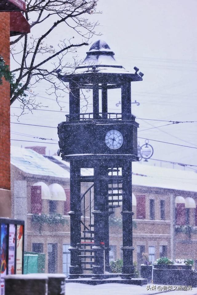雪落大连，一场山海的冬日盛宴