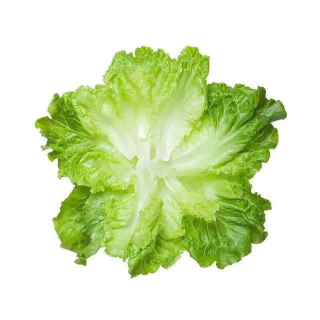 无边框白底微信头像