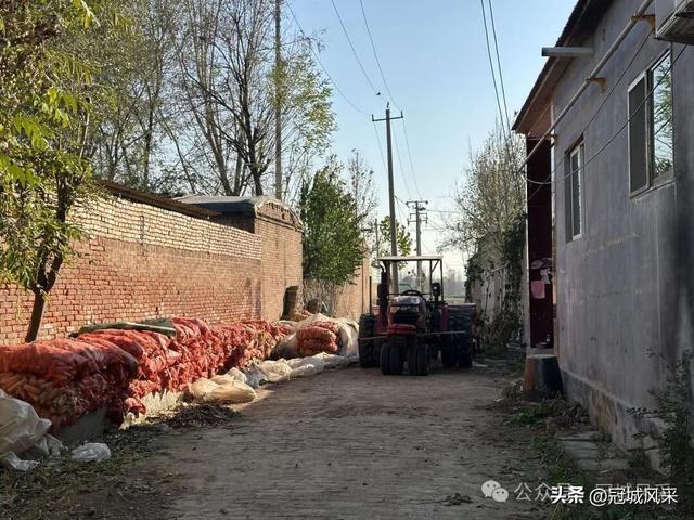 冠县乡韵·贾镇岑庄