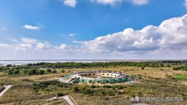 【情满双节游东营】月圆黄河口 情满中秋节
