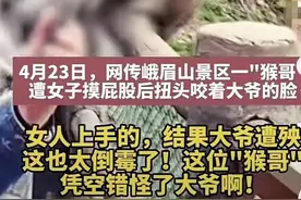 闹大！大妈偷摸猴子的屁股，致旁边大爷被咬伤，景区警告别乱摸！图片