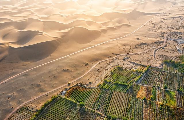 月薪8000留不住人，牧民靠万亩草场维生，新疆的上限下限超乎想象