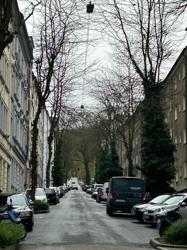 《 再见,德国 》