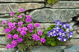 格局放大，你会发现，连恶人小人都自动后退了，因为你在释放能量图片