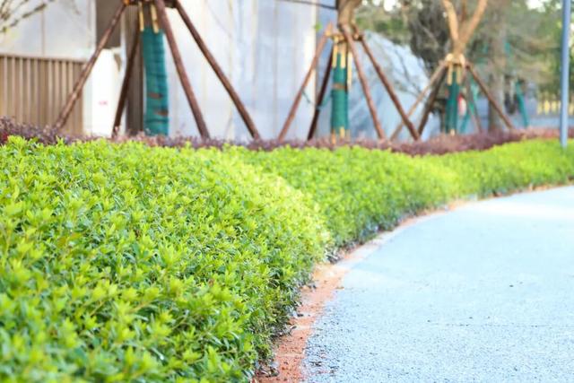 赣州又一个公园建成开放！