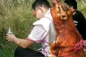 吓到我了!拜祖都卷成这样了吗？评论区更是吵的不可开交图片