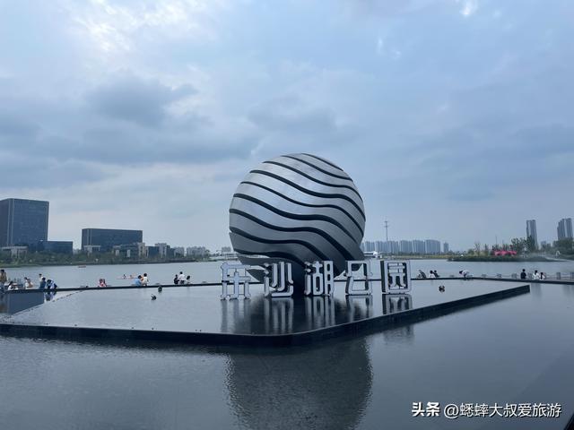 杭州超绝“波斯菊花海”来了，拍照遛娃露营齐全，地铁直达且免费