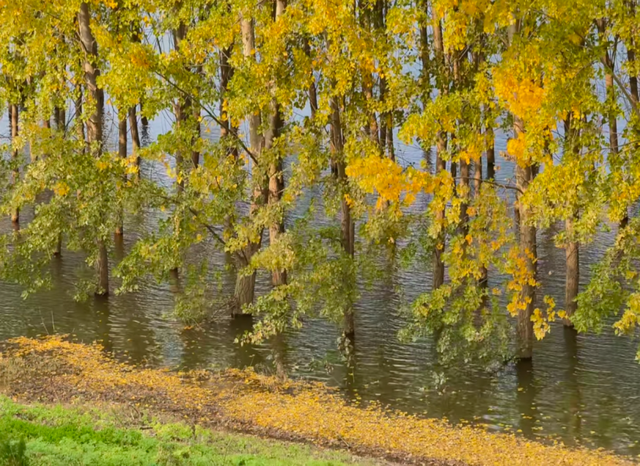 西安城区4个绝美秋景打卡地！