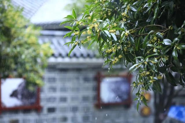 凉风有约，石泉喊你来赏秋~