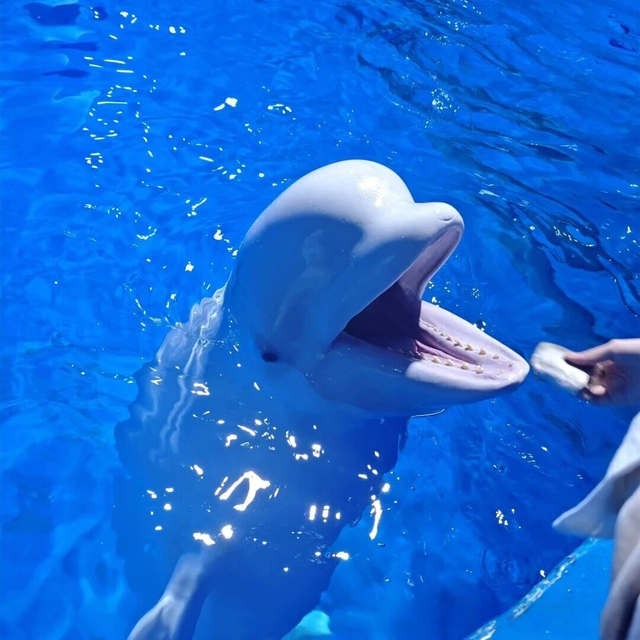 临沂太会玩了！你的短途出行计划，一键收藏