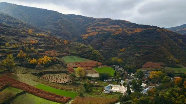 范坝秋光里：诗画田园入梦来