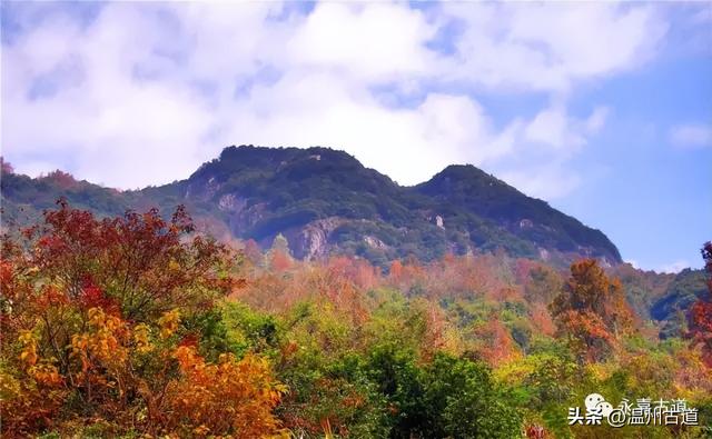 收好这份温州《红枫古道地图》，挑个好天气出门走走！