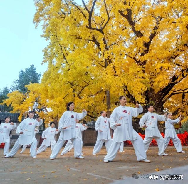 《中国文化报》报道日照：从过境地到目的地的吸引力升级！