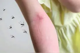 屋里放点它，蚊子一夜消失了，90%的人都不知道，天然环保图片