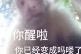 国产游戏最狠的活？因为它整个编辑部半夜集体猴叫图片