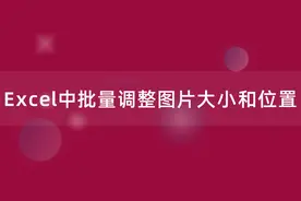 Excel中批量调整图片大小和位置，这个方法太实用了！图片